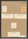 Amphora coffeaeformis var. exigua (Greg.) Rabenh. (de-Toni-Nr.: Genus 36, Species 1559) Zeichnungen Sammlung Grunow Nr. 3011 (NHMW-BOT-W0370388)